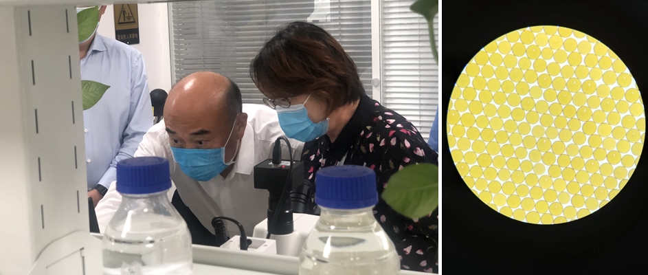 陕西省省长刘国钟注西安市市长李明远一行调研高陵优德唯一官网产业园