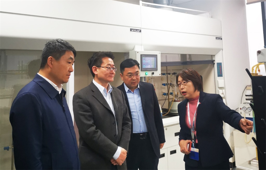 延安市副市长高昕昱同道一行来公司调查领导工作 延安市副市长高昕昱同道一行来公司调查领导工作